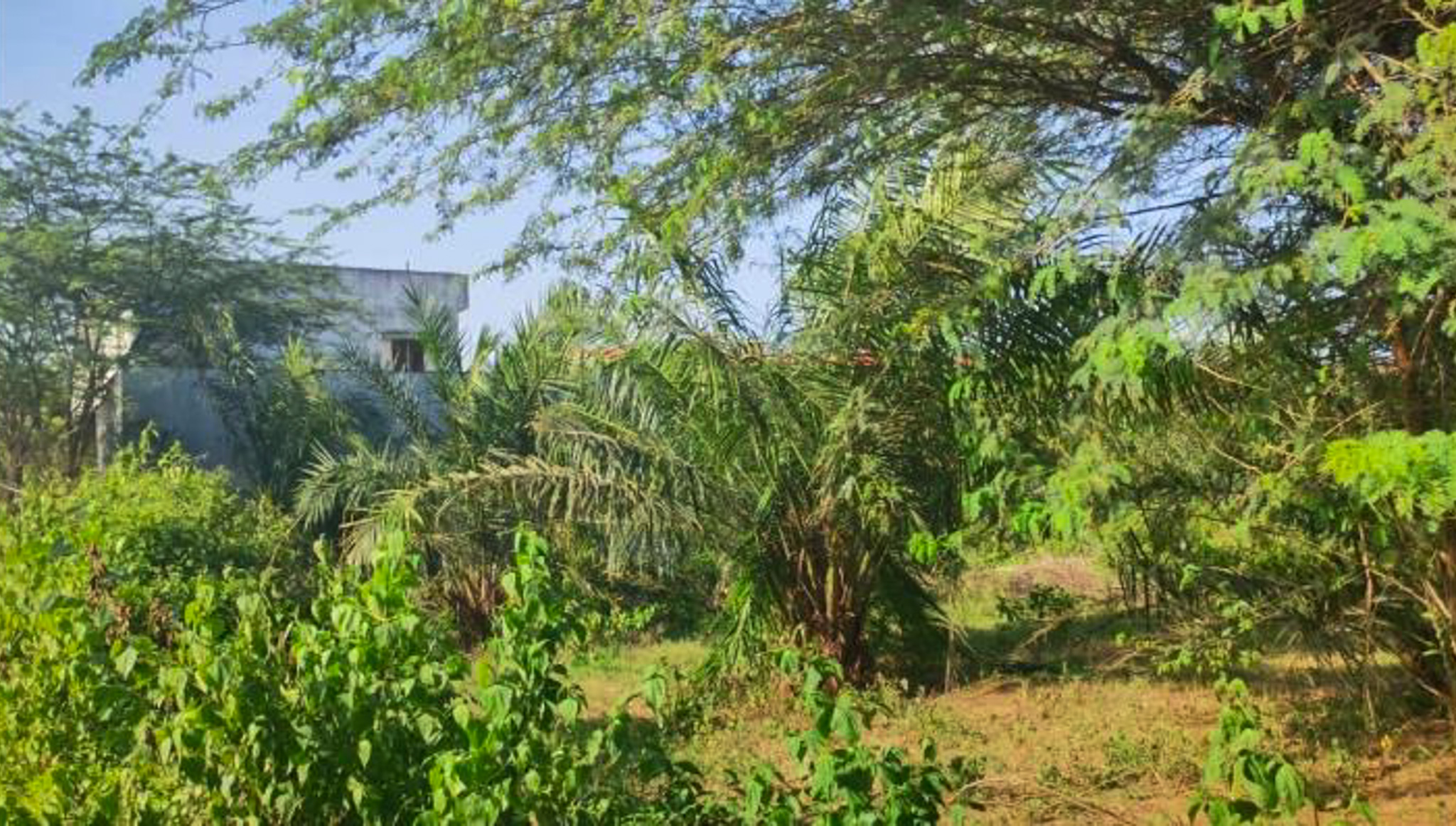 Industrial Plot with Factory Building for Sale in Chebrolu