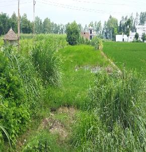 Plot for Sale in Bazpur