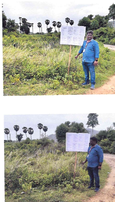 Plot for Sale in Pisinikada Village, Anakapalle Mandal, Visakhapatnam, Anakapalle