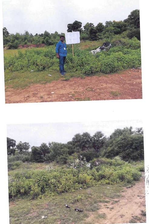Plot for Sale in Pisinikada Village, Anakapalle Mandal, Visakhapatnam, Anakapalle