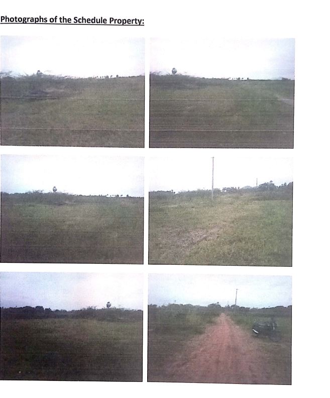 Plot for Sale in Ganapavaram