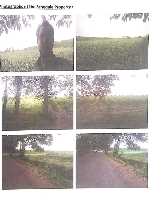Plot for Sale in Ganapavaram
