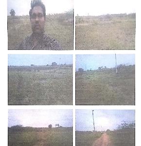 Plot for Sale in Ganapavaram