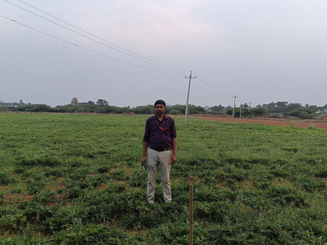 Agriculture Land for Sale in Rayadurg