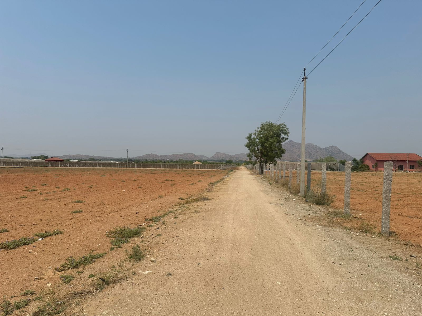 Agriculture Land for Sale in Tadpatri