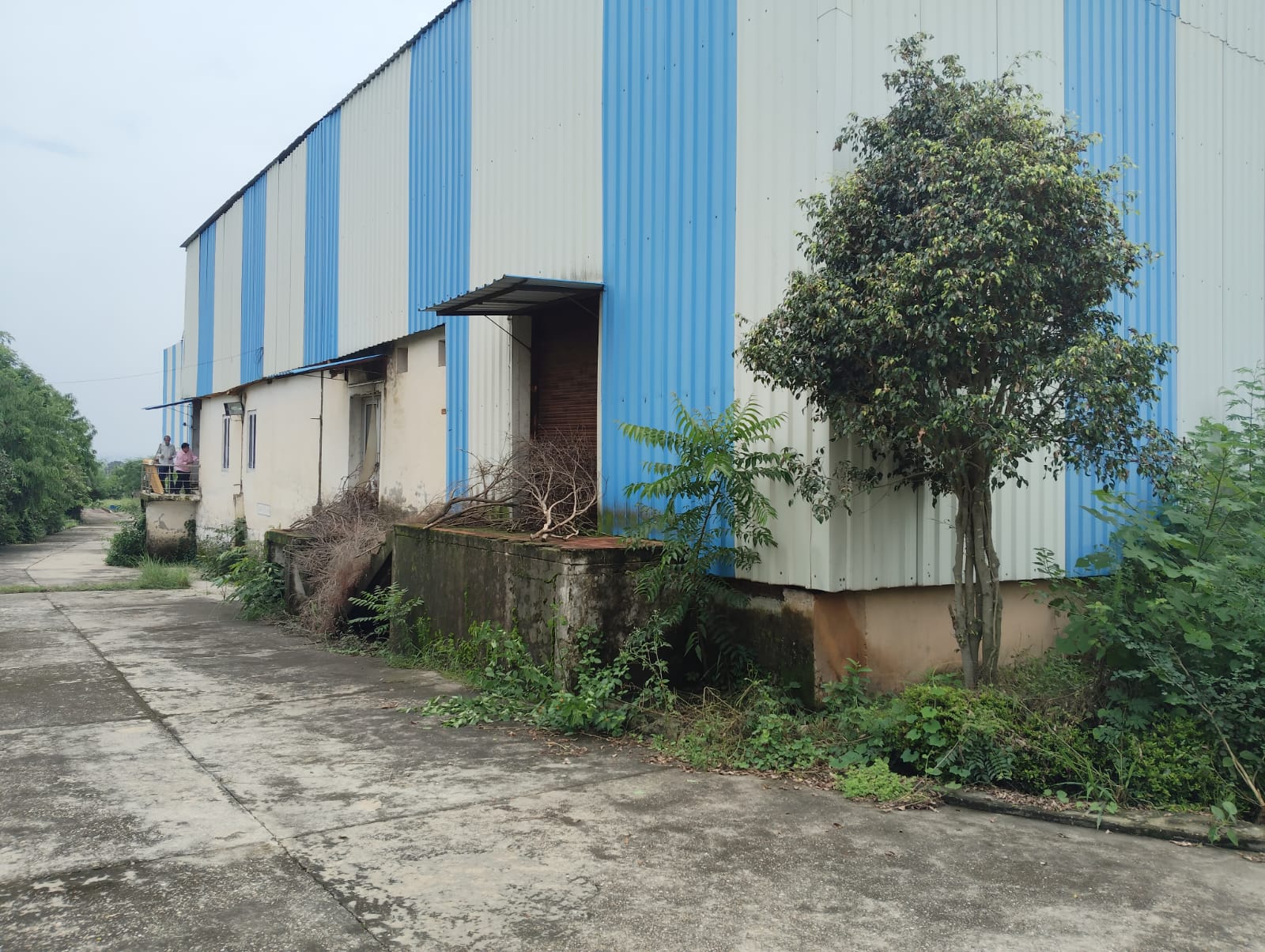 Other for Sale in VILLAGE MAUJA NANGAL KHURD, HAROLI, Santokhgarh