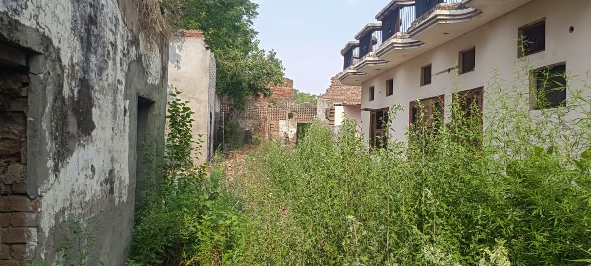 Industrial Shed for Sale in Phillaur