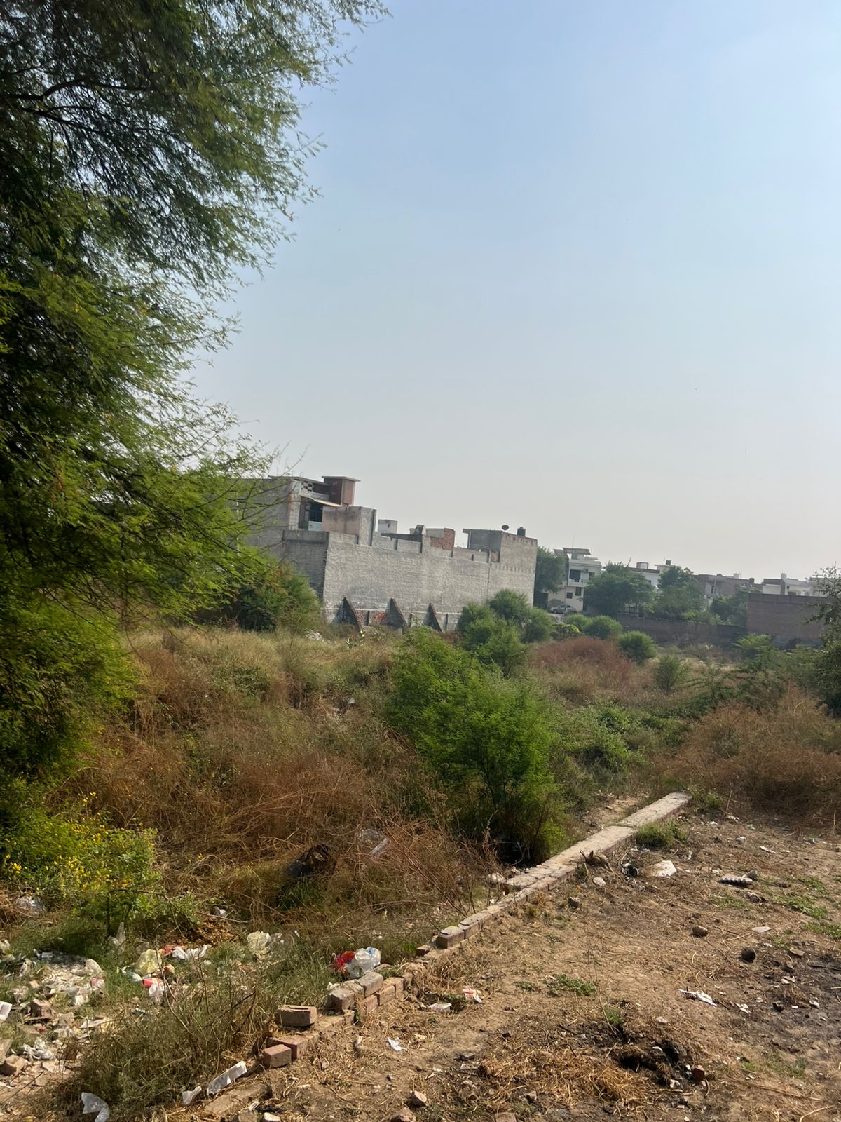 Plot for Sale in Residential Plot at Gali No. 3, Guru Gobind Singh Nagar, New Court Road, Mansa, Punjab - 151505, Mansa