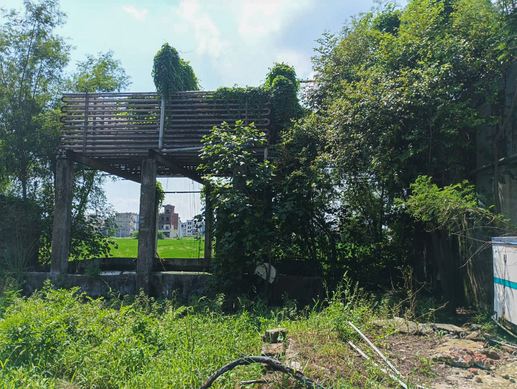 Industrial Shed for Sale in Mubarikpur, Dera Bassi