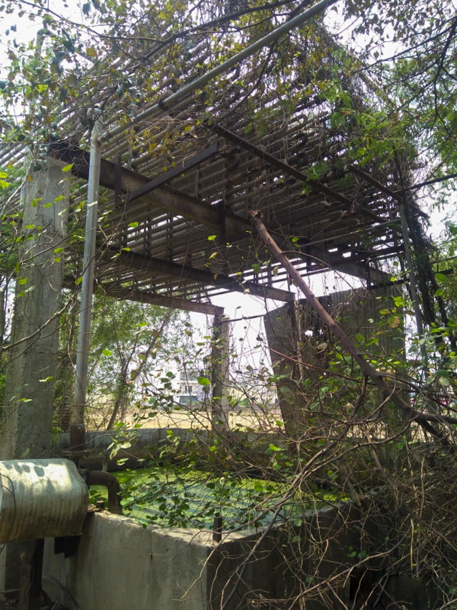Plant and Machinery for Sale in Mubarikpur, Dera Bassi