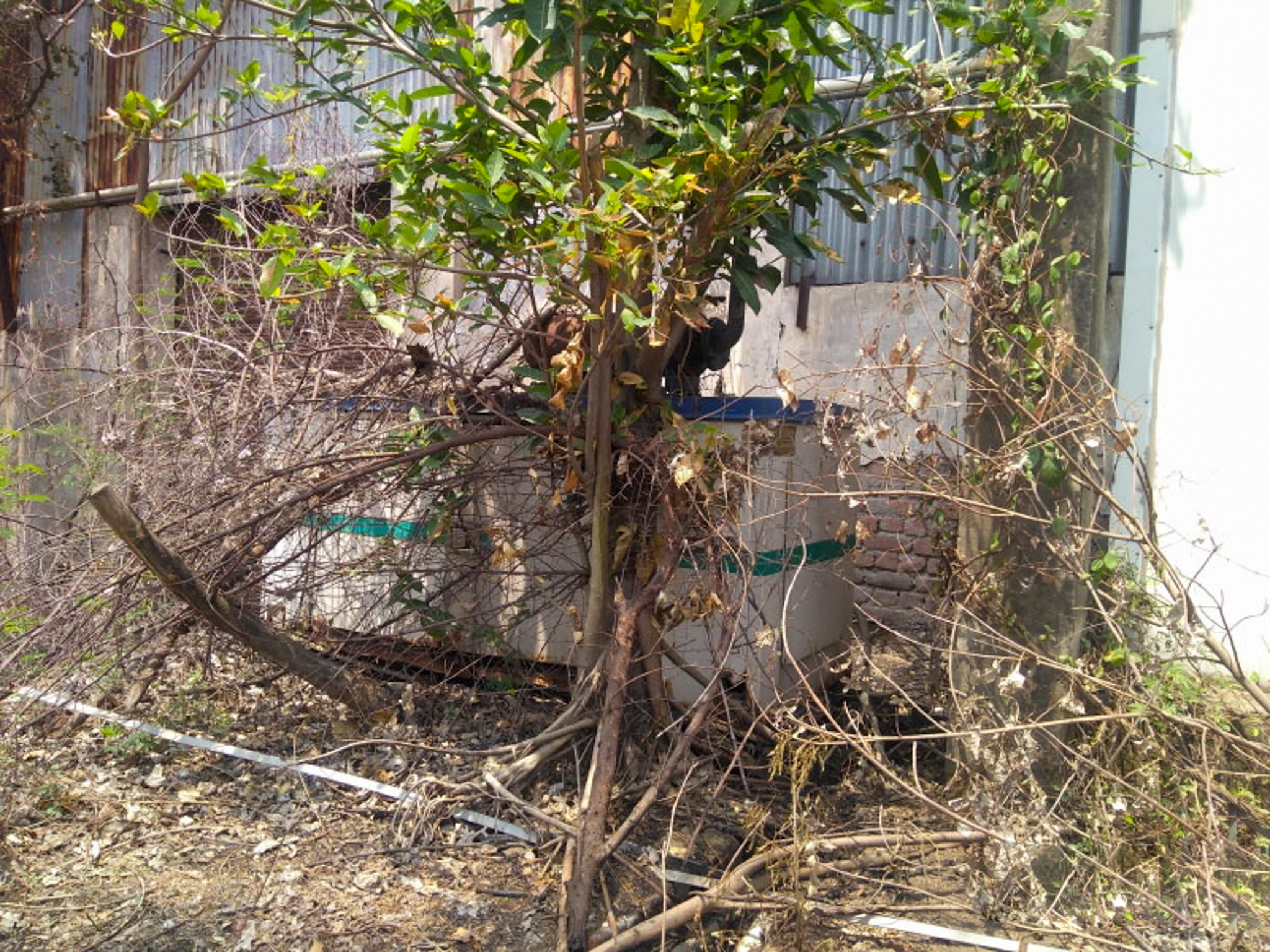 Plant and Machinery for Sale in Mubarikpur, Dera Bassi