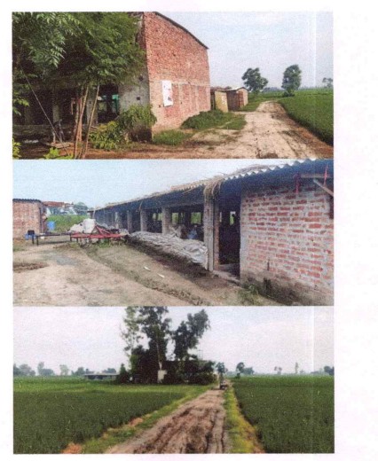 Farm House for Sale in Goindwal