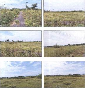 Plot for Sale in Guntur