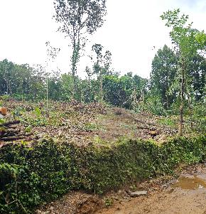 LAND ONLY for Sale in Angamaly