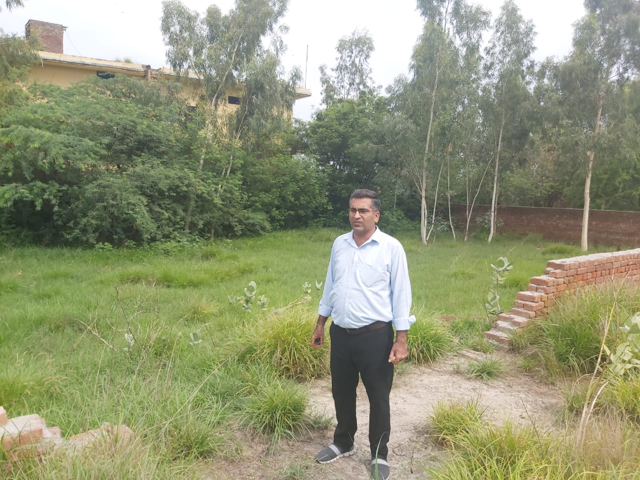 Plot for sale in Guru Harsahai Guru Har Sahai