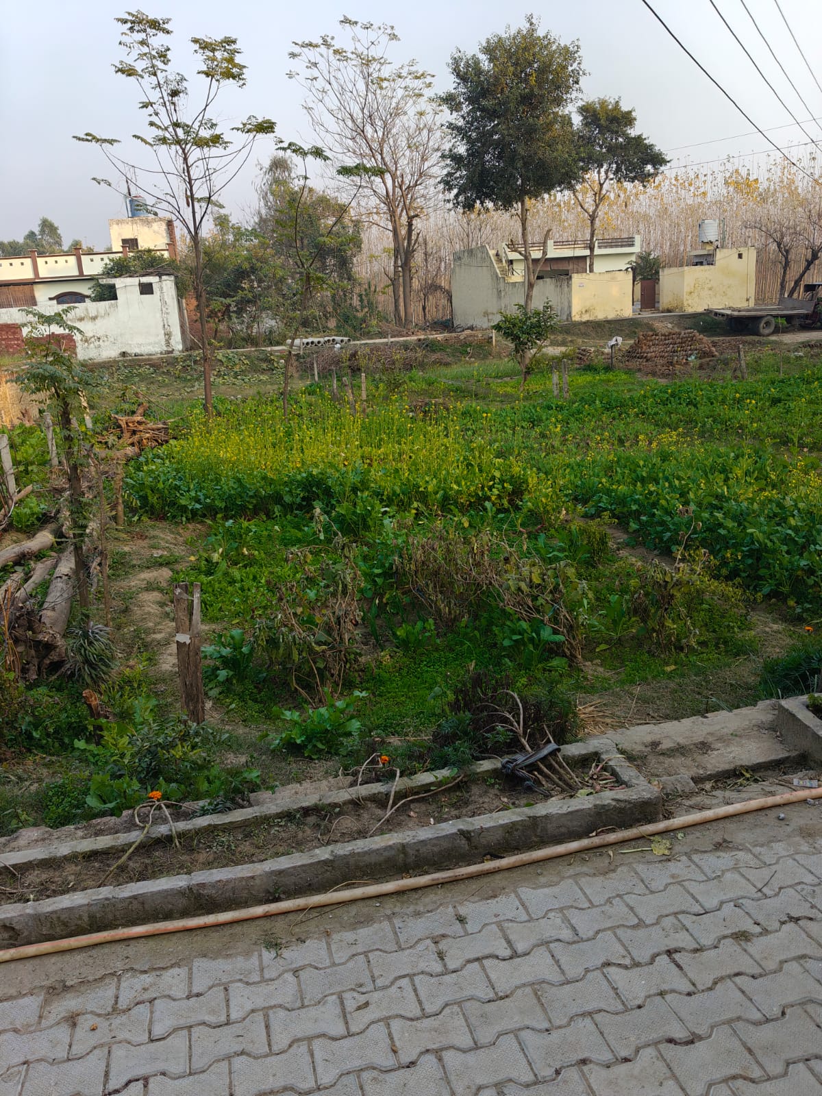 2070 square feet Plot for sale in VPO BODAL TEHSIL DASUYA DISTT. HOSHIARPUR. Dasuya