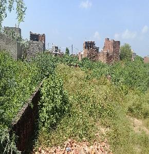 Plot for Sale in Rania
