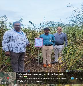 Plot for Sale in Rajamahendravaram