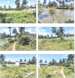 VACANT SITE for Sale in Eluru