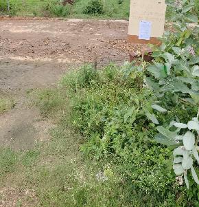 Plot for Sale in JAVAGAL TOWN, Arsikere