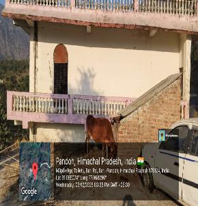 Individual House for Sale in Mandi