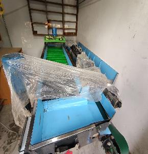 APPLE GRADING MACHINE for Sale in Mandi