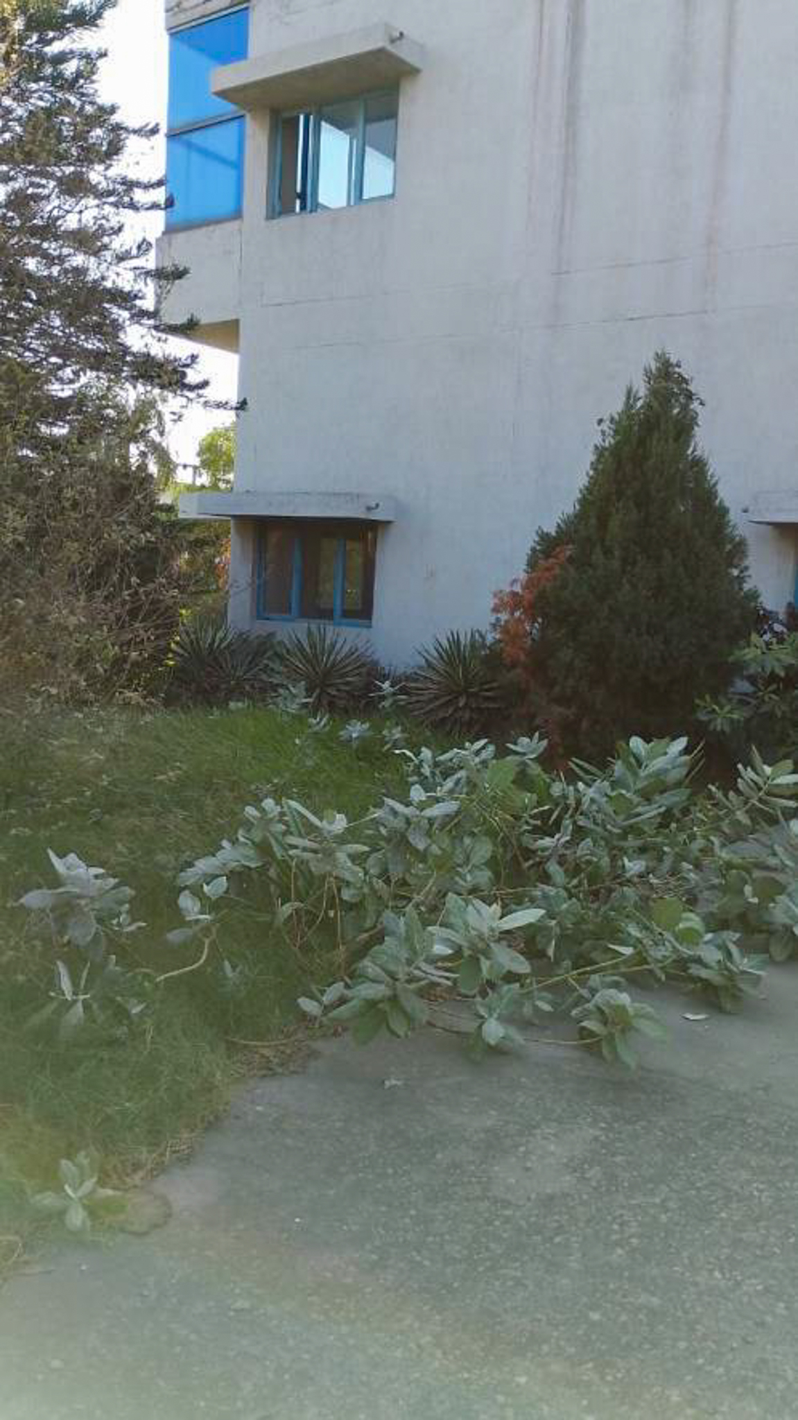 Plant and Machinery for Sale in Samba, Jammu, Samba