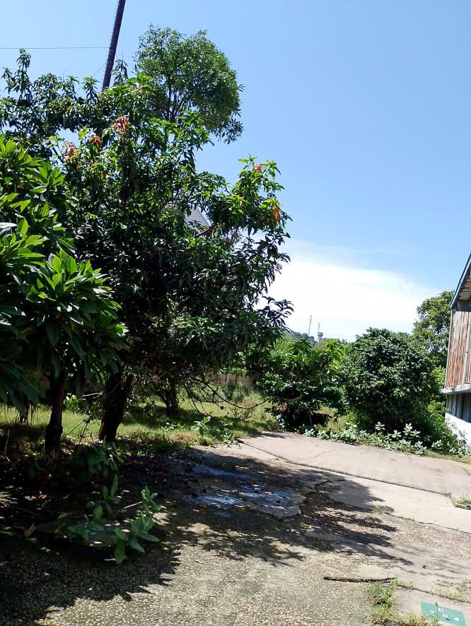 Shed with Plant and Machinery for Sale in Samba