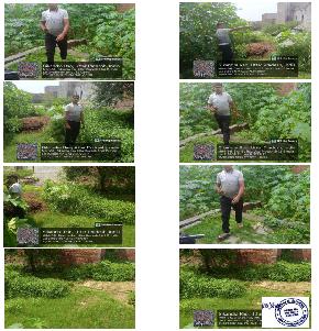 Plot for Sale in Sikandra Rao