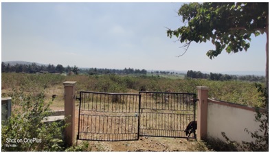 Plot for Sale in Amble Industrial Area