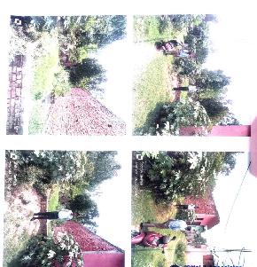 Plot for Sale in DISTT SAHARANPUR, Kailashpur