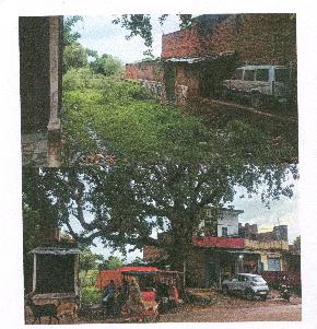 Plot for Sale in Atarra
