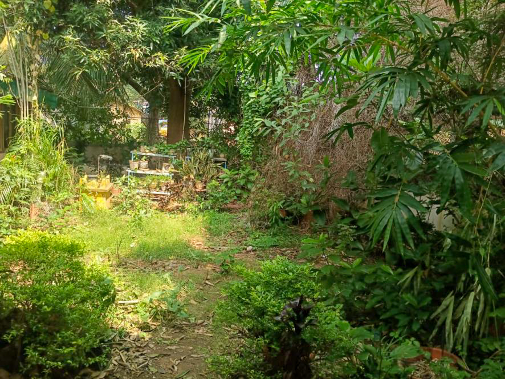 Individual House for Sale in INDEPENDENT HOUSE, Rajamundry, East Godavari District, Andhra Pradesh, Rajamahendravaram