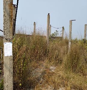 Plot for Sale in Brahman Kutung Rajnagar Seraikela District,Jharkhand, Seraikela
