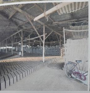 Industrial Plot for Sale in THANGTEK IMPHAL, Imphal