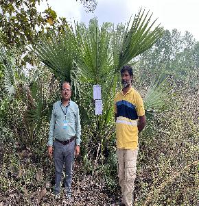 OPEN PLOT for Sale in NARSAMPET, Narsampet