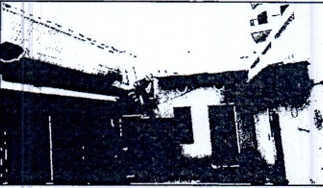House at w.no.35, Near Vidhya Bharti School, Mohalla Haji Mastan Shah, Ki Dargah, Sikar, Rajasthan