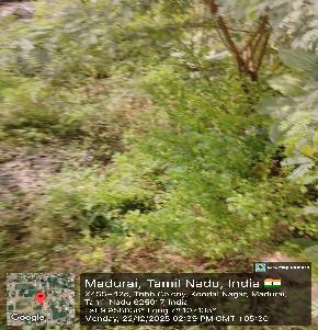 Plot for Sale in Anaiyur