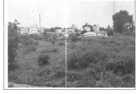 Plot for Sale in Avanashi