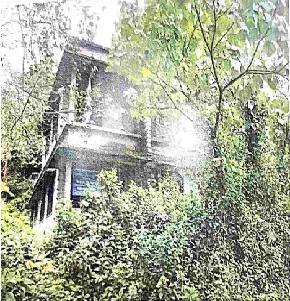 Plot for Sale in Kozhenchery