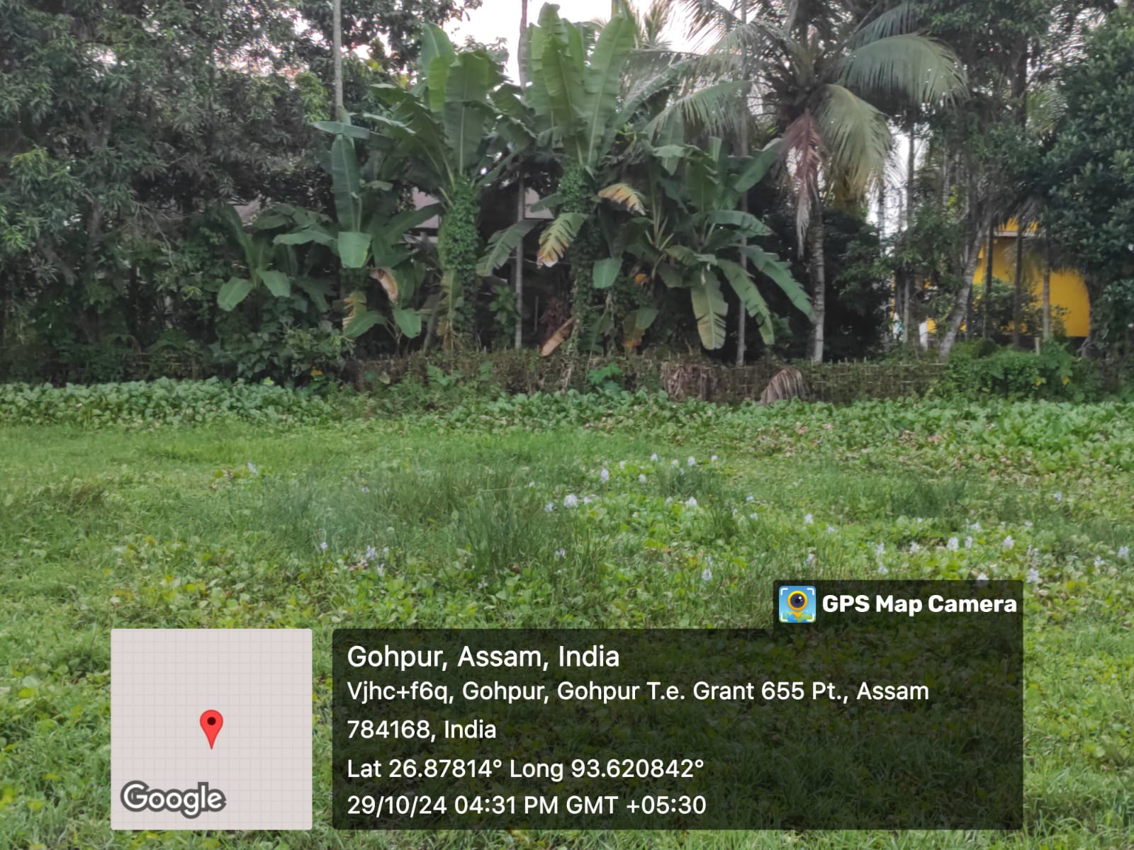 Plot for Sale in N/A, Gohpur, Gohpur