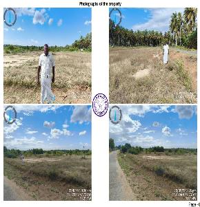 Plot for Sale in Velampalayam Village, Vellakoil