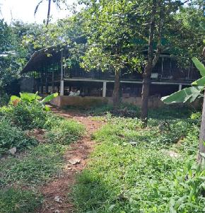 Industrial Shed for Sale in Koratty
