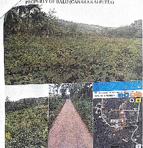 Plot for Sale in Vythiri