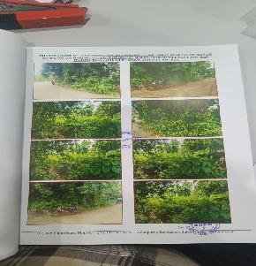 Plot for Sale in BOLAGARH,NAYAGARH, Nayagarh