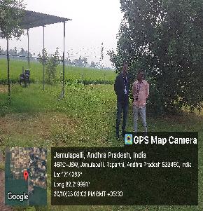 Plot for Sale in JAMULAPLLI,PITAPIRAM, Pithapuram