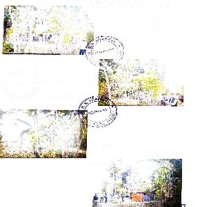 OPEN LAND for Sale in Golaghat