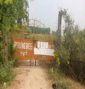 Shed with Plant and Machinery for Sale in Spring Bee Dairy Products Pvt Ltd, Obulakkapally Vill, , Podili Mandal, Prakasham District, A.P, Podili