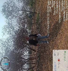 Plot for Sale in Gurugram