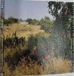 Plot for Sale in plot, Hulkoti
